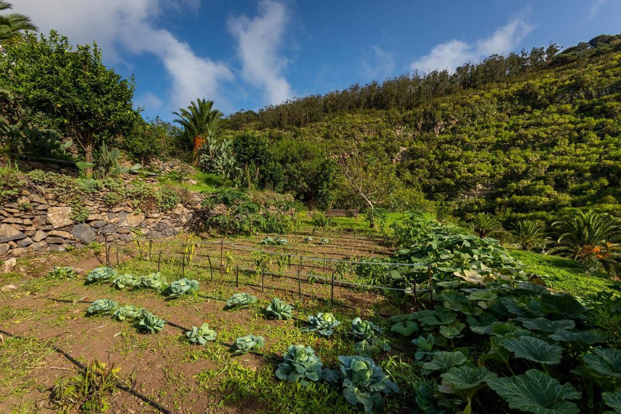 Las Casas Del Chorro Agulo Екстериор снимка